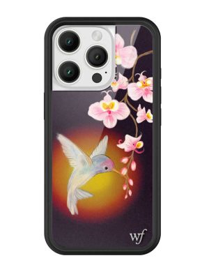 Hummingbird iPhone Case
